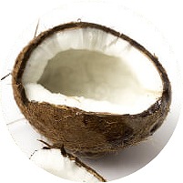 ナチュロルの原材料ココナッツの画像